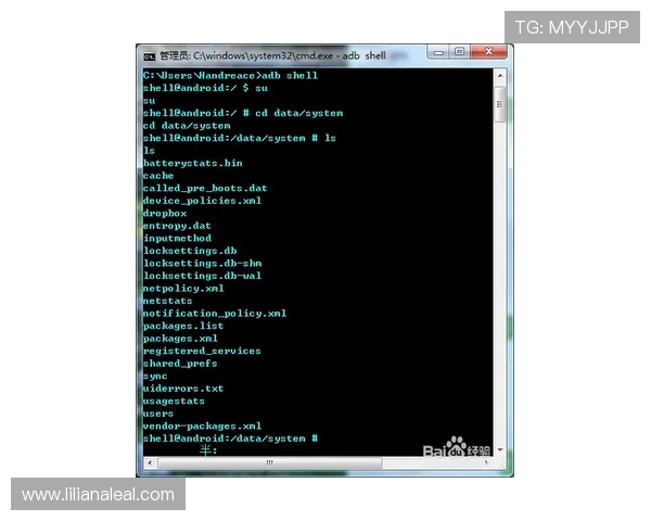 星空娱乐用户登录：快速找回密码与账号安全保护措施