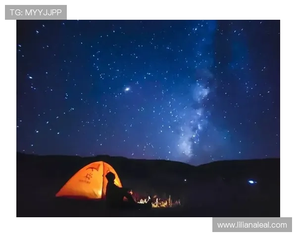 星空官方登录入口：快速进入星空平台的官方登录入口指南