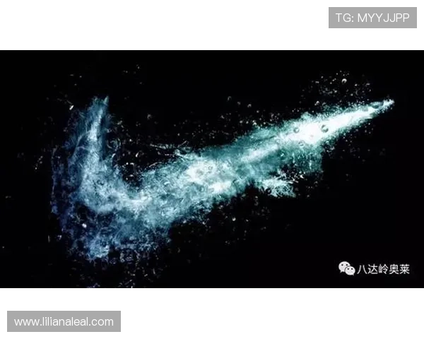 星空体育手机官网支持个性化运动计划定制与专业指导