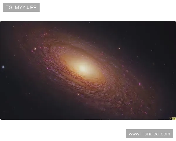 星空体育首页免费下载途径介绍，轻松掌握最新版本下载安装步骤